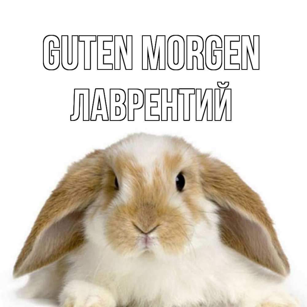 Открытка на каждый день с именем, Лаврентий Guten Morgen прикольные открытки на каждый день Прикольная открытка с пожеланием онлайн скачать бесплатно 