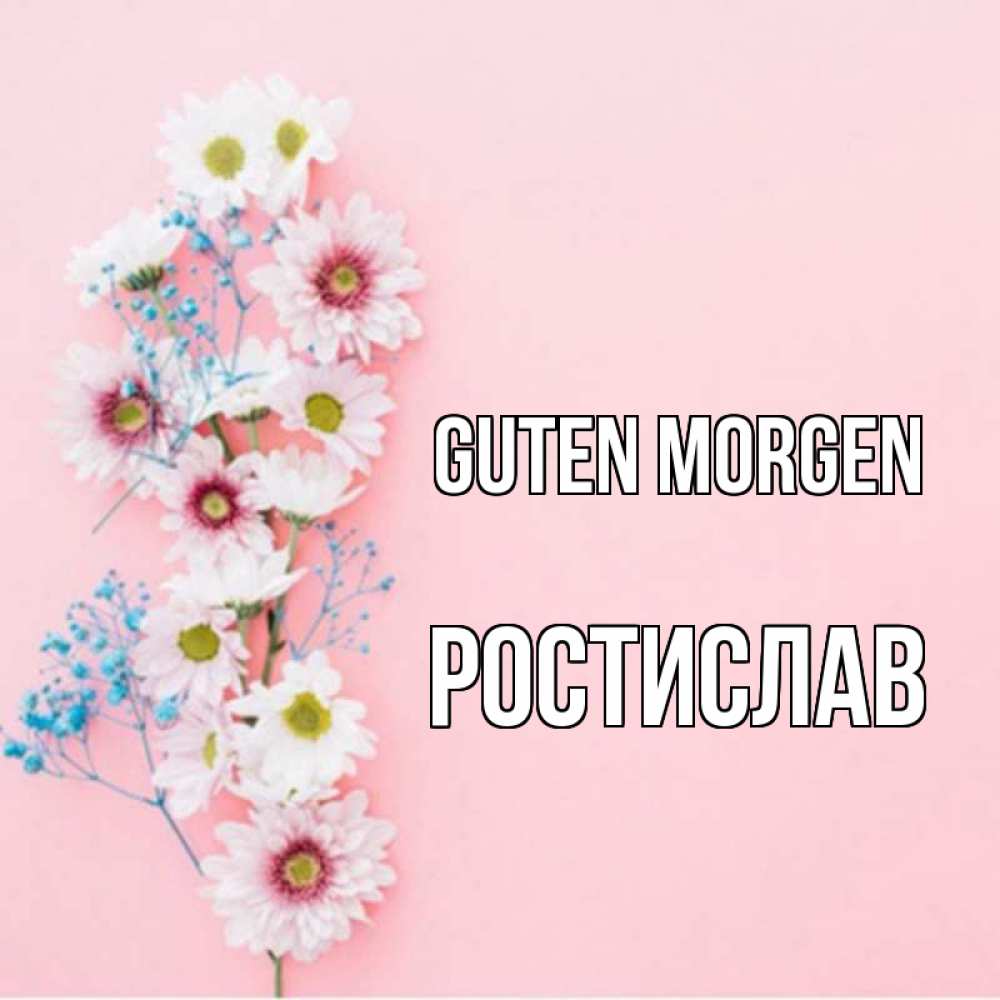 Открытка на каждый день с именем, Ростислав Guten Morgen цветы с подписью Прикольная открытка с пожеланием онлайн скачать бесплатно 