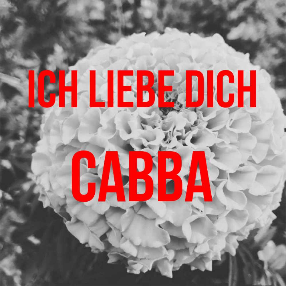 Открытка на каждый день с именем, Савва Ich liebe dich подпись Прикольная открытка с пожеланием онлайн скачать бесплатно 