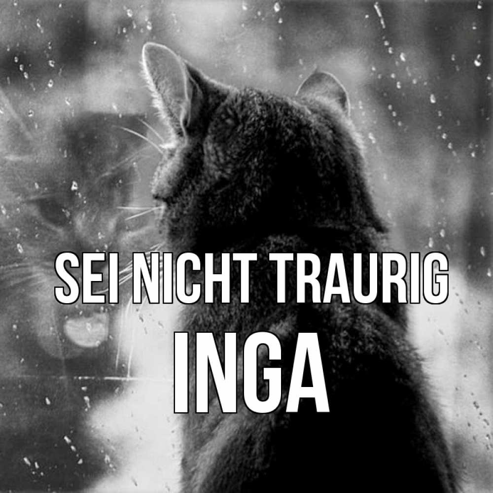 Открытка на каждый день с именем, Inga Sei nicht traurig отражение кота 1 Прикольная открытка с пожеланием онлайн скачать бесплатно 