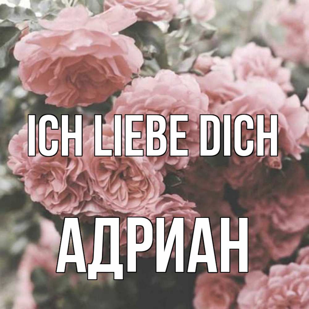 Открытка на каждый день с именем, Адриан Ich liebe dich розы 3 Прикольная открытка с пожеланием онлайн скачать бесплатно 