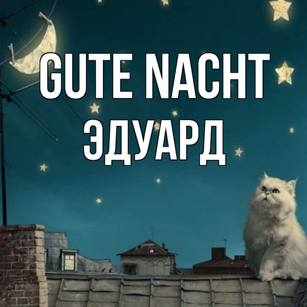 Открытка на каждый день с именем, Эдуард Gute Nacht белый кот сидит на крыше Прикольная открытка с пожеланием онлайн скачать бесплатно 