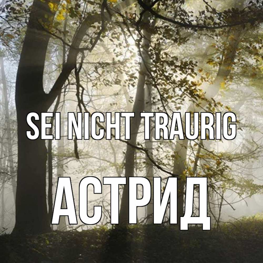 Открытка на каждый день с именем, Астрид Sei nicht traurig лес и свет Прикольная открытка с пожеланием онлайн скачать бесплатно 