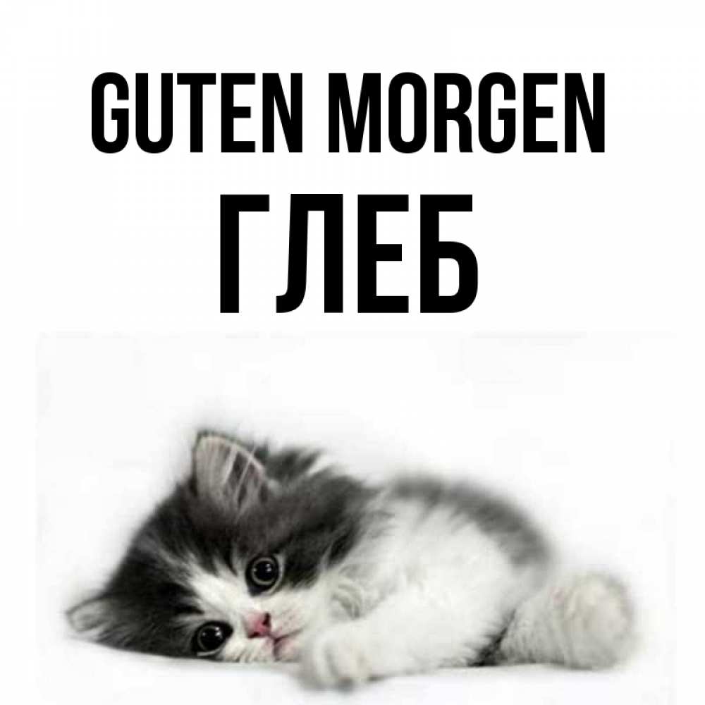 Открытка на каждый день с именем, Глеб Guten Morgen кот лапки Прикольная открытка с пожеланием онлайн скачать бесплатно 