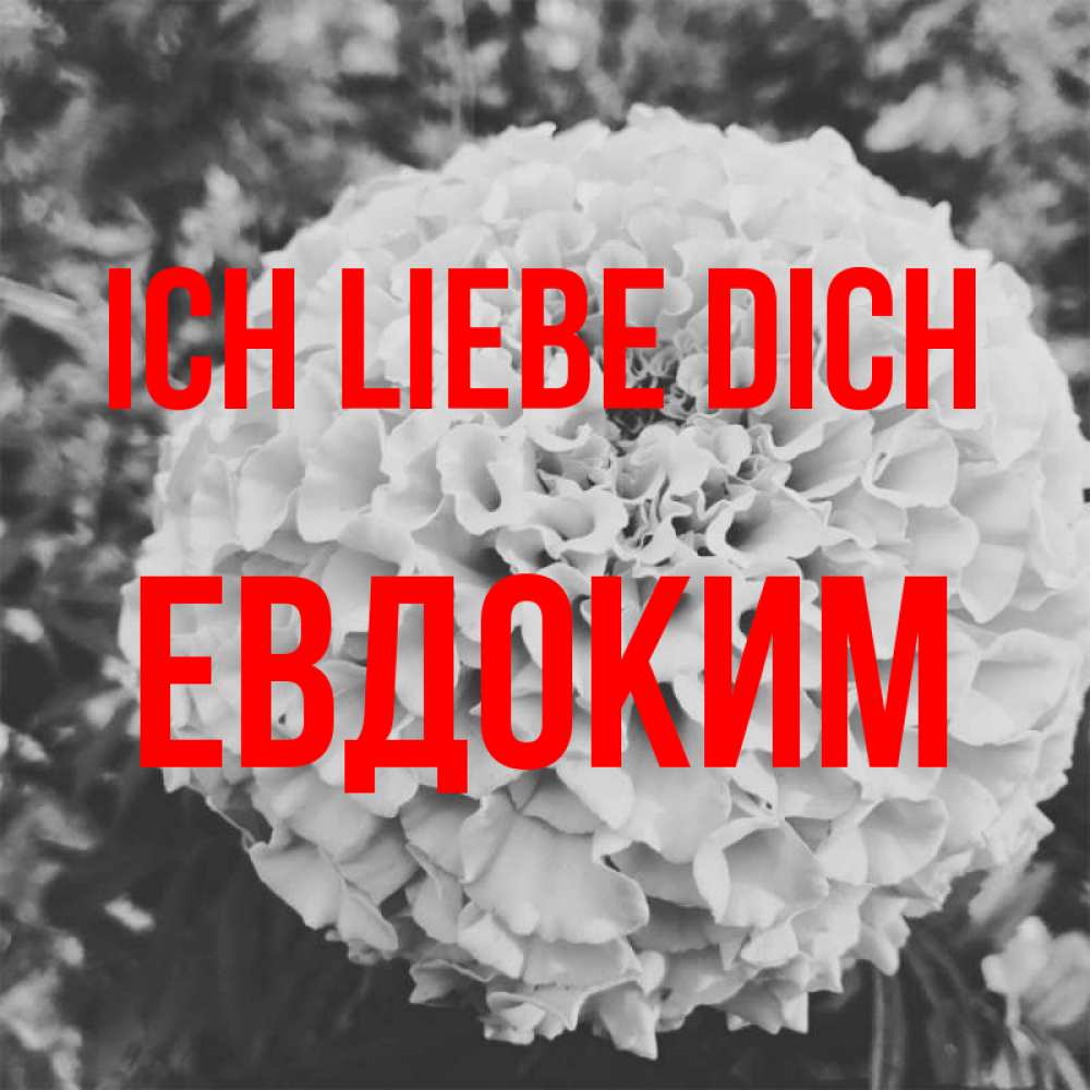 Открытка на каждый день с именем, Евдоким Ich liebe dich подпись Прикольная открытка с пожеланием онлайн скачать бесплатно 