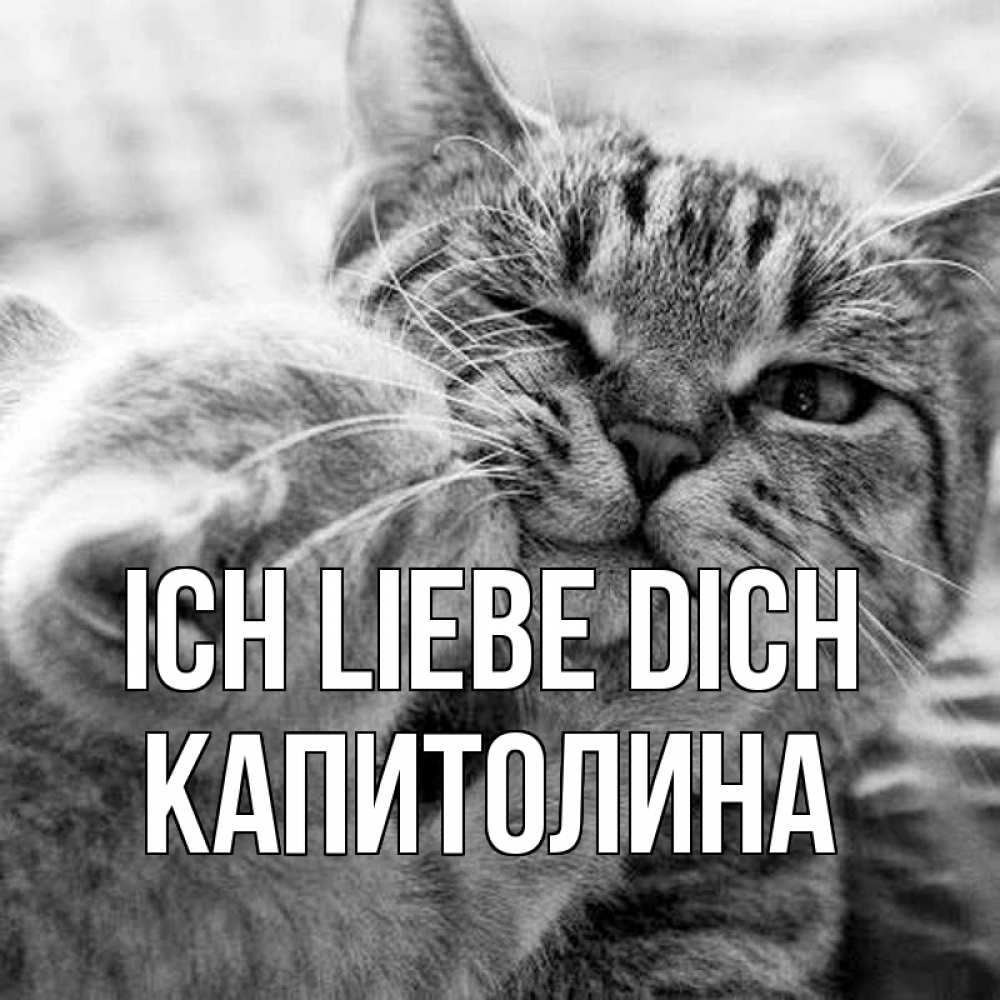Открытка на каждый день с именем, Капитолина Ich liebe dich коты Прикольная открытка с пожеланием онлайн скачать бесплатно 