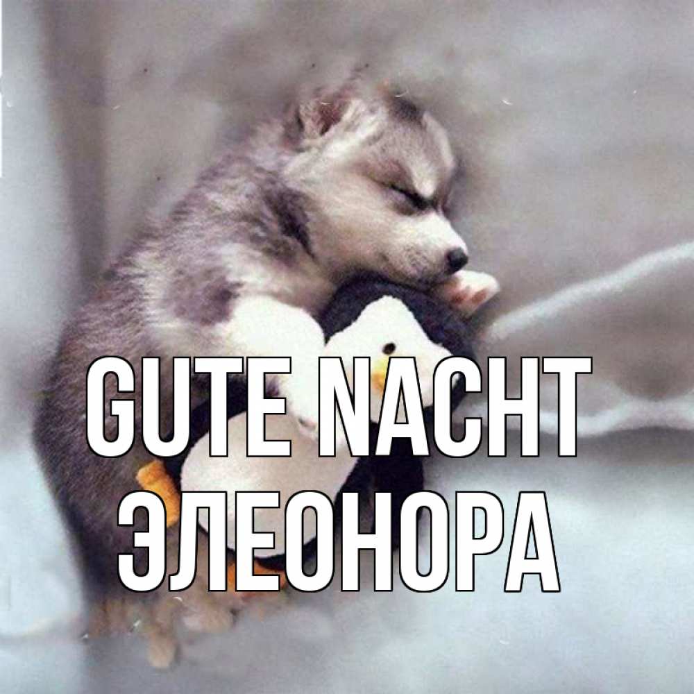 Открытка на каждый день с именем, Элеонора Gute Nacht обнимашки щенка и пингвина Прикольная открытка с пожеланием онлайн скачать бесплатно 