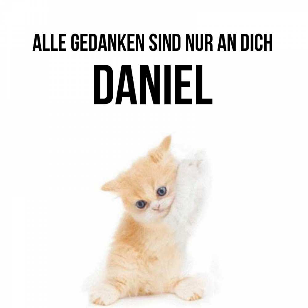 Открытка на каждый день с именем, Daniel Alle Gedanken sind nur an dich зверушки и милота Прикольная открытка с пожеланием онлайн скачать бесплатно 