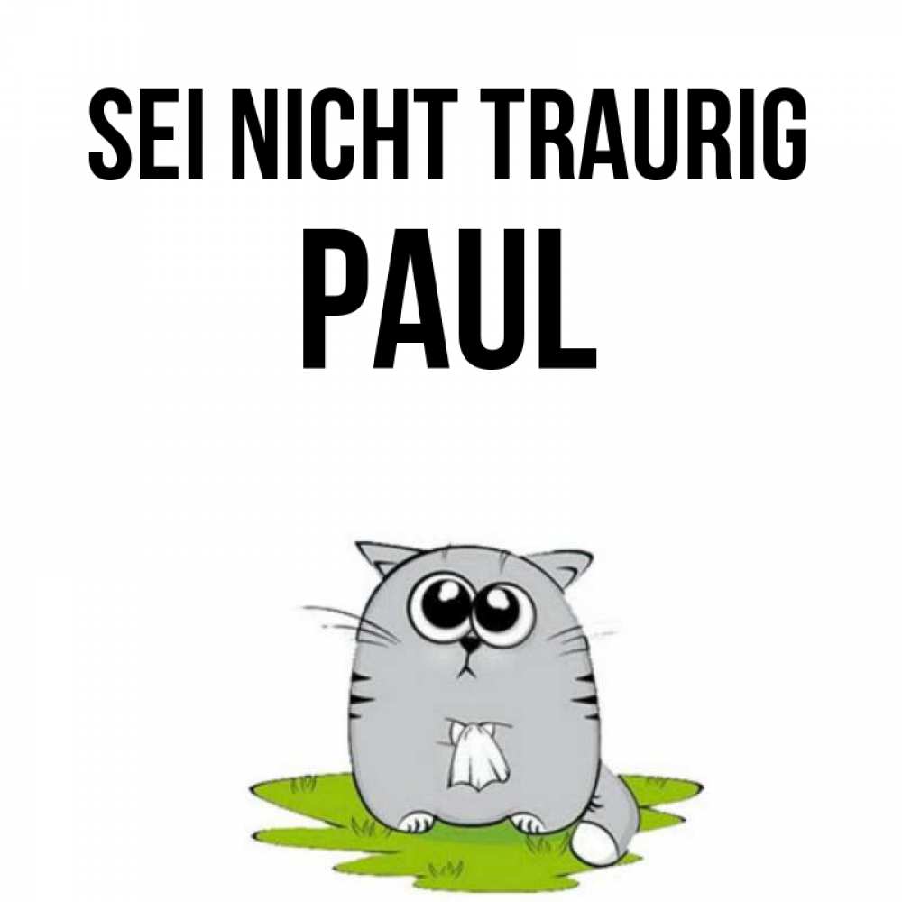 Открытка на каждый день с именем, Paul Sei nicht traurig грустный котяра Прикольная открытка с пожеланием онлайн скачать бесплатно 