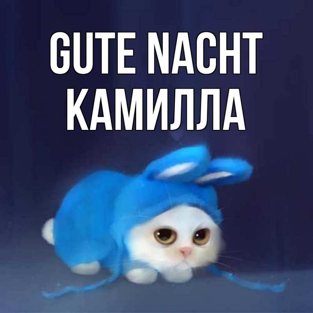 Открытка на каждый день с именем, Камилла Gute Nacht кот в голубом костюме кролика с ушками Прикольная открытка с пожеланием онлайн скачать бесплатно 