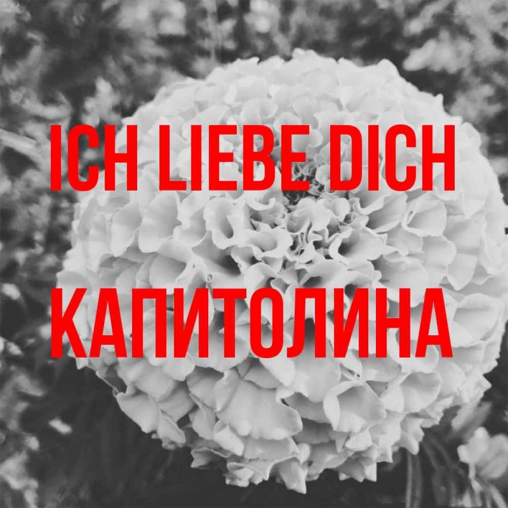 Открытка на каждый день с именем, Капитолина Ich liebe dich подпись Прикольная открытка с пожеланием онлайн скачать бесплатно 