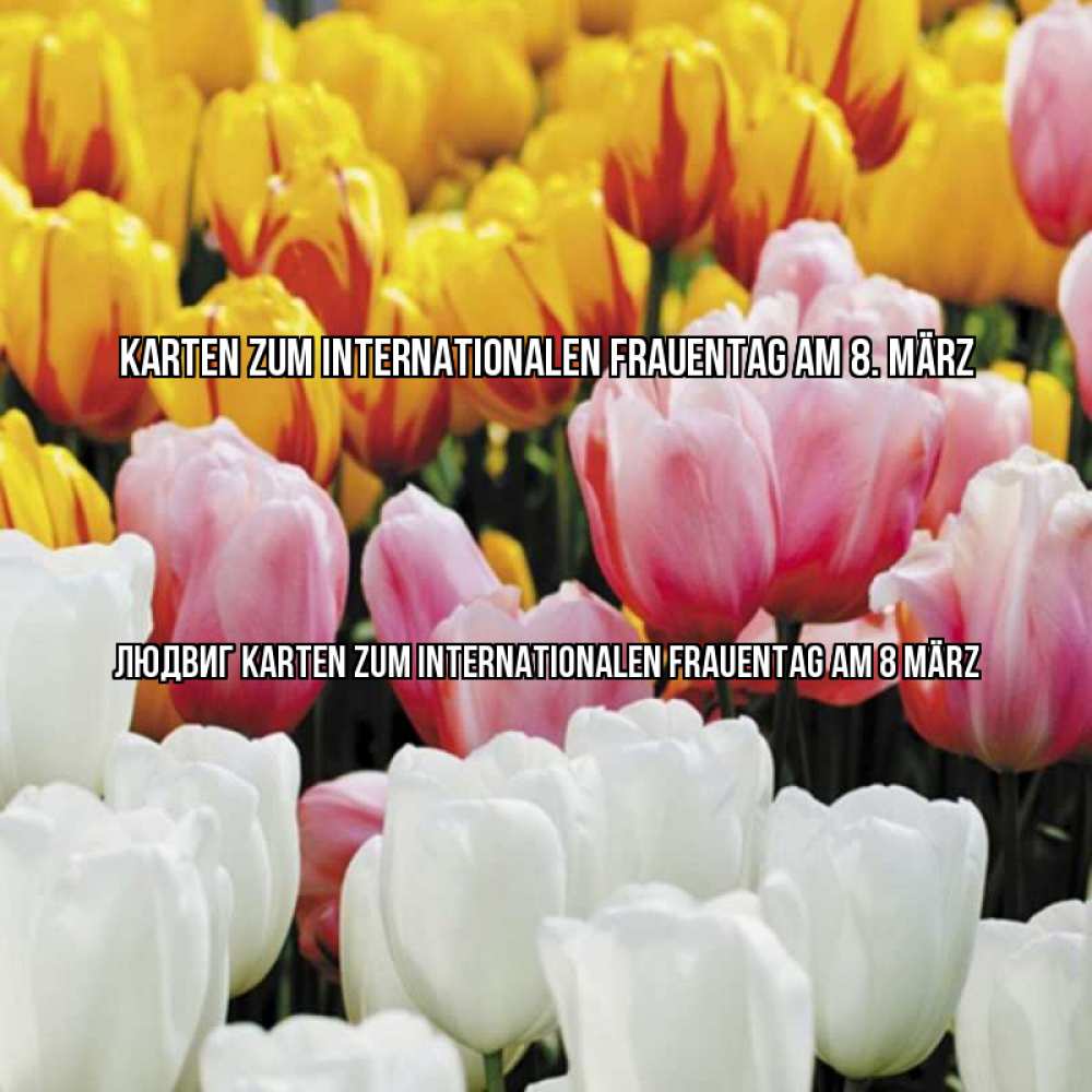 Открытка на каждый день с именем, Людвиг Karten zum Internationalen Frauentag am 8. März разноцветные цветы Прикольная открытка с пожеланием онлайн скачать бесплатно 