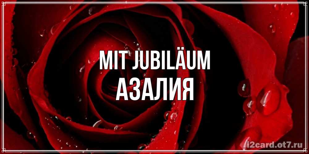 Открытка на каждый день с именем, Азалия Mit Jubiläum крупная бордовая роза Прикольная открытка с пожеланием онлайн скачать бесплатно 