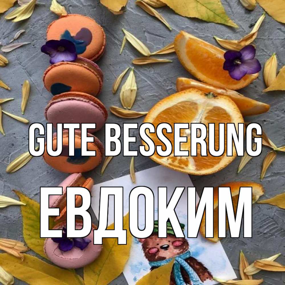 Открытка на каждый день с именем, Евдоким Gute Besserung не болейте Прикольная открытка с пожеланием онлайн скачать бесплатно 