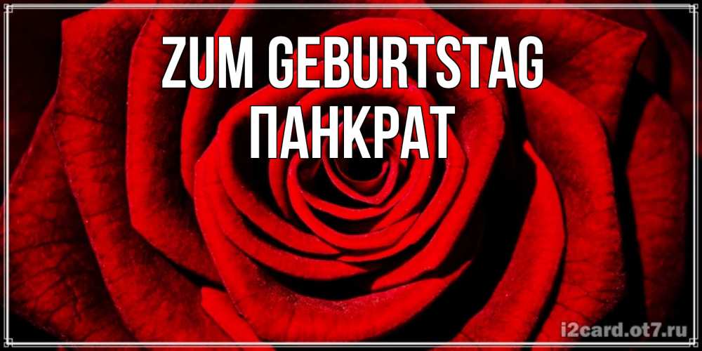 Открытка на каждый день с именем, Панкрат Zum Geburtstag алая роза Прикольная открытка с пожеланием онлайн скачать бесплатно 