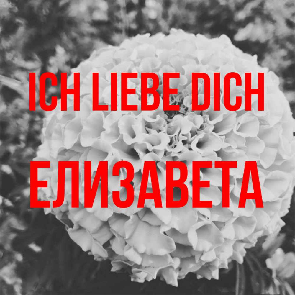 Открытка на каждый день с именем, Елизавета Ich liebe dich подпись Прикольная открытка с пожеланием онлайн скачать бесплатно 
