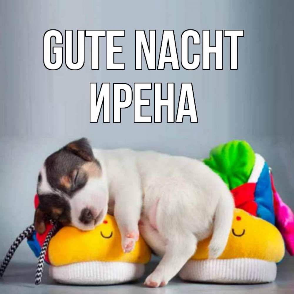 Открытка на каждый день с именем, Ирена Gute Nacht собачка Прикольная открытка с пожеланием онлайн скачать бесплатно 