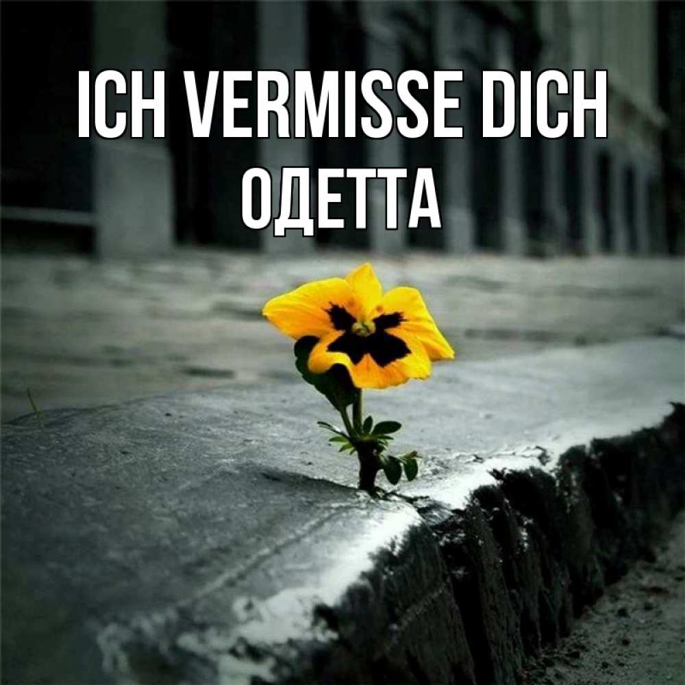 Открытка на каждый день с именем, Одетта Ich vermisse dich надеюсь будет лучше Прикольная открытка с пожеланием онлайн скачать бесплатно 