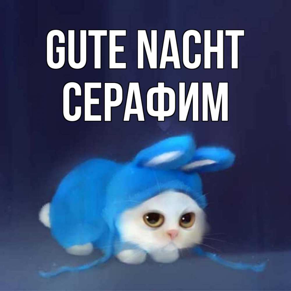 Открытка на каждый день с именем, Серафим Gute Nacht кот в голубом костюме кролика с ушками Прикольная открытка с пожеланием онлайн скачать бесплатно 