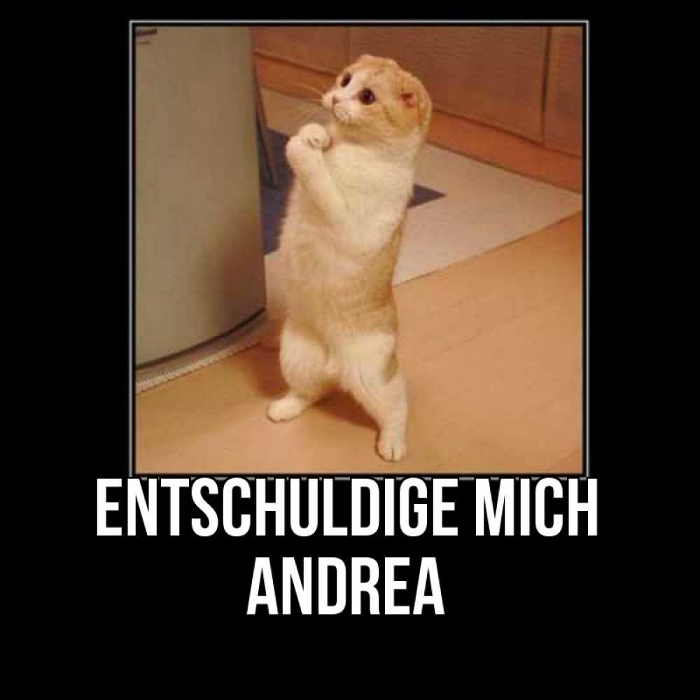 Открытка на каждый день с именем, Andrea Entschuldige mich открытка с милым несчастным котиком просящим прощения Прикольная открытка с пожеланием онлайн скачать бесплатно 