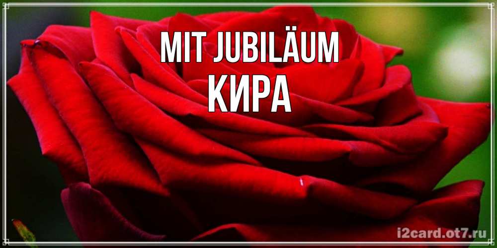 Открытка на каждый день с именем, Кира Mit Jubiläum розочка очень красивая Прикольная открытка с пожеланием онлайн скачать бесплатно 