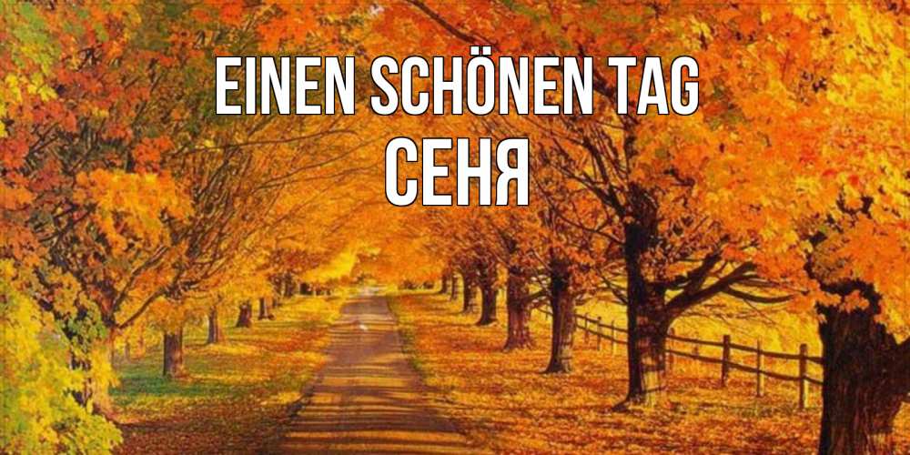 Открытка на каждый день с именем, Сеня Einen schönen Tag деревья с осенними листьями Прикольная открытка с пожеланием онлайн скачать бесплатно 
