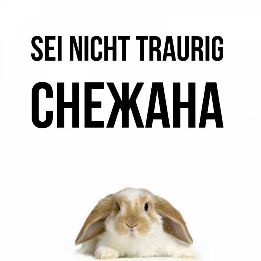 Открытка на каждый день с именем, Снежана Sei nicht traurig коричнево белый заяц с большими ушками Прикольная открытка с пожеланием онлайн скачать бесплатно 