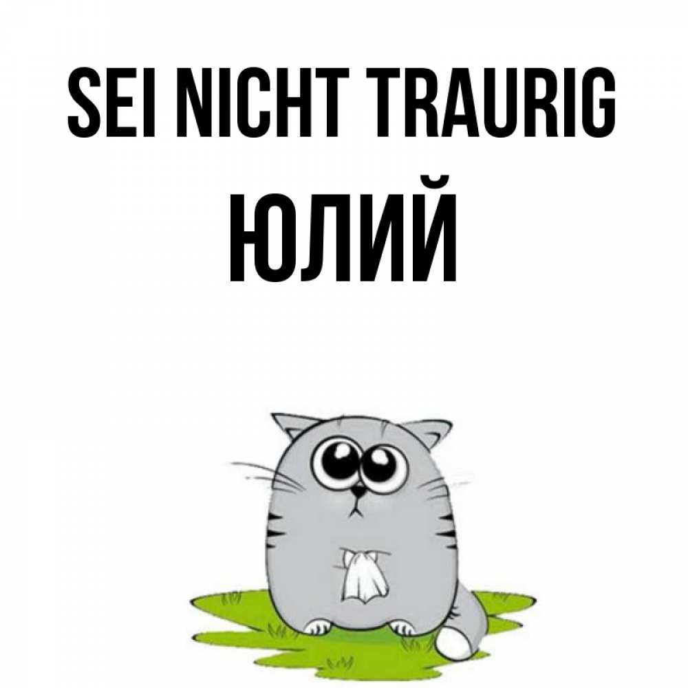Открытка на каждый день с именем, Юлий Sei nicht traurig грустный котяра Прикольная открытка с пожеланием онлайн скачать бесплатно 