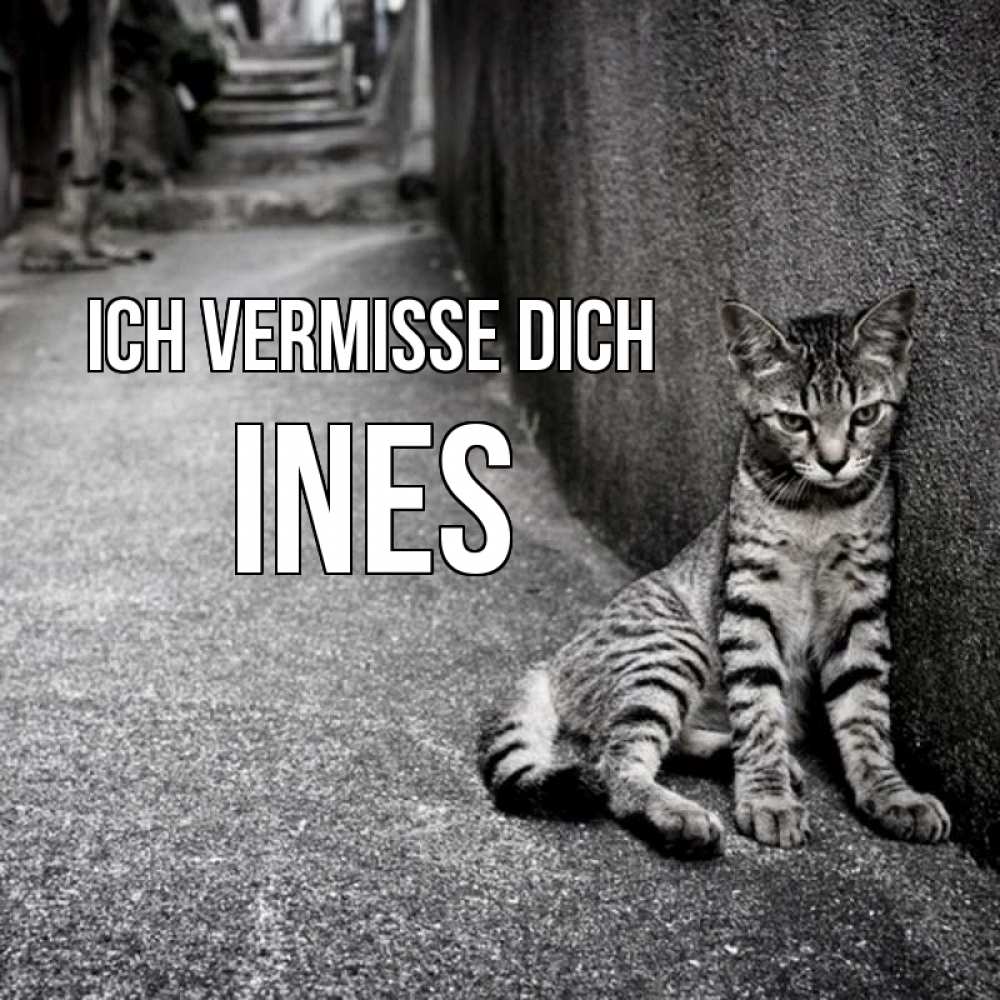Открытка на каждый день с именем, Ines Ich vermisse dich одиноко котику Прикольная открытка с пожеланием онлайн скачать бесплатно 