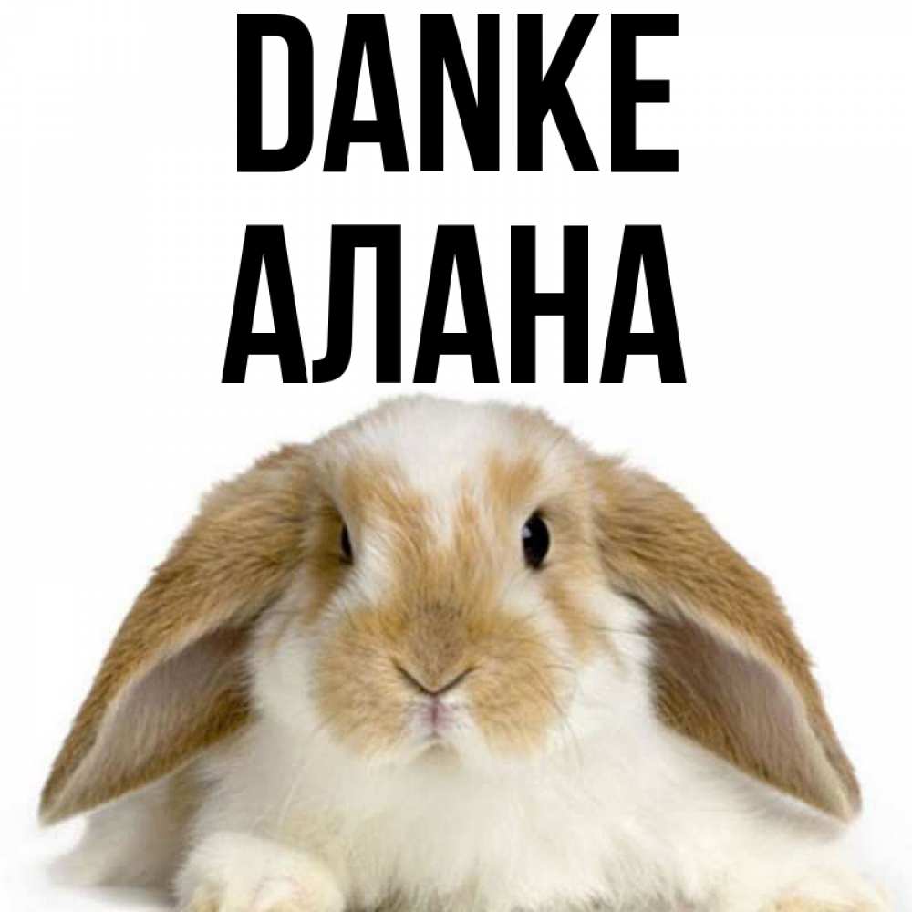 Открытка на каждый день с именем, Алана Danke коричнево белый заяц Прикольная открытка с пожеланием онлайн скачать бесплатно 