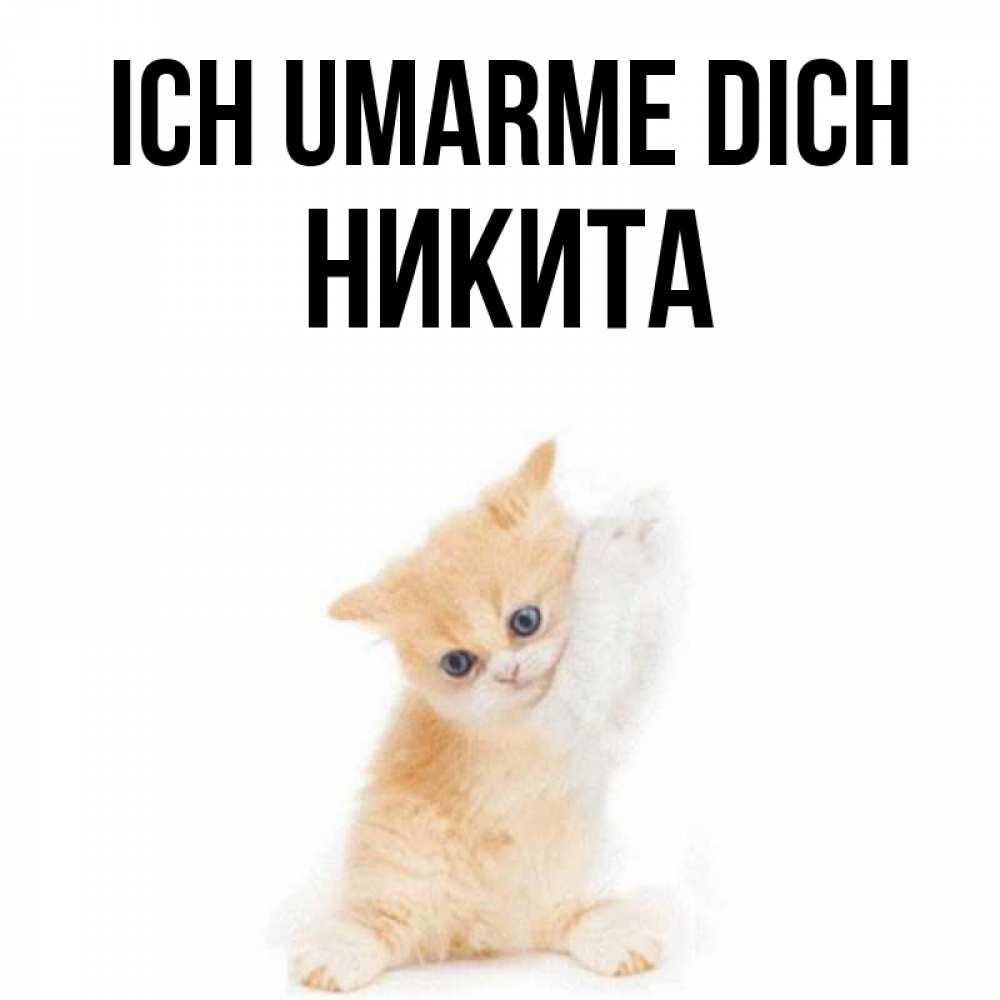 Открытка на каждый день с именем, Никита Ich umarme dich я хочу очень скорее обнимаешек Прикольная открытка с пожеланием онлайн скачать бесплатно 
