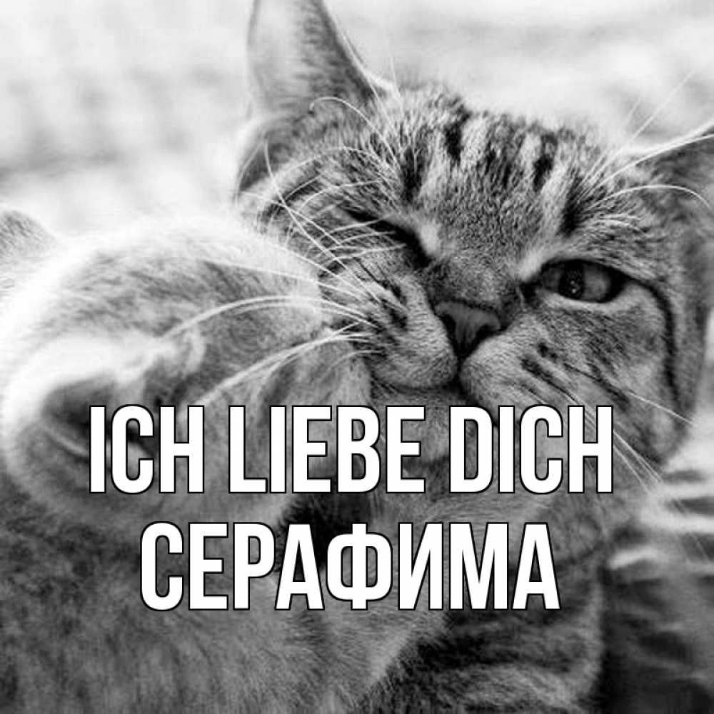 Открытка на каждый день с именем, Серафима Ich liebe dich коты Прикольная открытка с пожеланием онлайн скачать бесплатно 