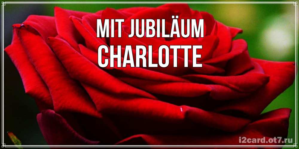 Открытка на каждый день с именем, Charlotte Mit Jubiläum розочка очень красивая Прикольная открытка с пожеланием онлайн скачать бесплатно 