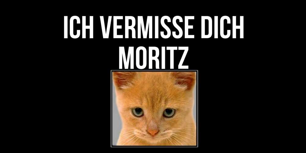 Открытка на каждый день с именем, Moritz Ich vermisse dich открытки рыжий котенок скучает по тебе Прикольная открытка с пожеланием онлайн скачать бесплатно 