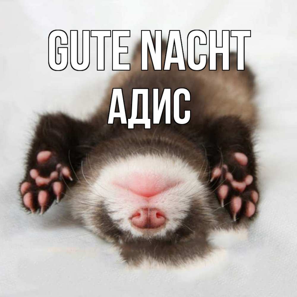 Открытка на каждый день с именем, Адис Gute Nacht зверек Прикольная открытка с пожеланием онлайн скачать бесплатно 