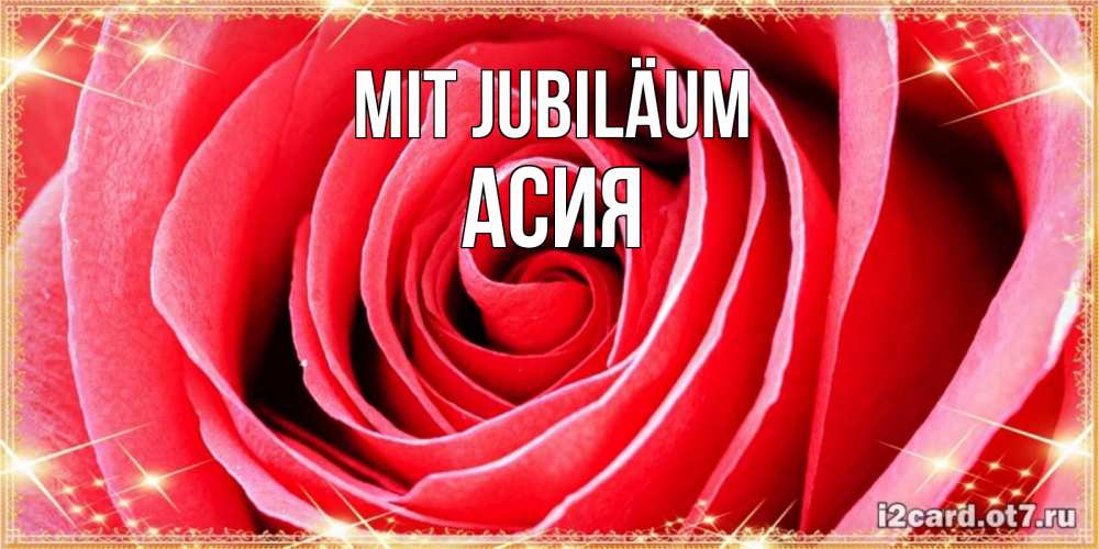 Открытка на каждый день с именем, Асия Mit Jubiläum розовая роза очень крупный бутон Прикольная открытка с пожеланием онлайн скачать бесплатно 