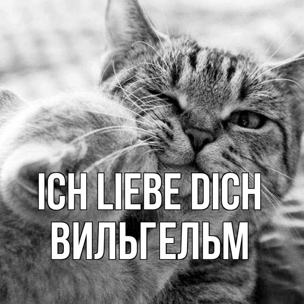 Открытка на каждый день с именем, Вильгельм Ich liebe dich коты Прикольная открытка с пожеланием онлайн скачать бесплатно 