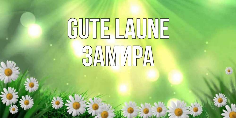 Открытка на каждый день с именем, Замира Gute Laune открытка с ромашками и солнечными лучами Прикольная открытка с пожеланием онлайн скачать бесплатно 