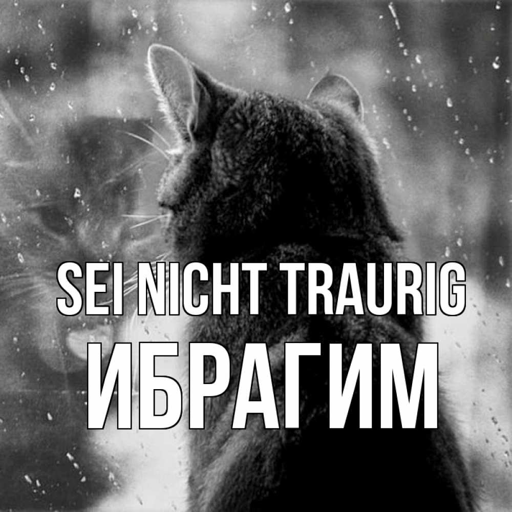 Открытка на каждый день с именем, Ибрагим Sei nicht traurig отражение кота 1 Прикольная открытка с пожеланием онлайн скачать бесплатно 