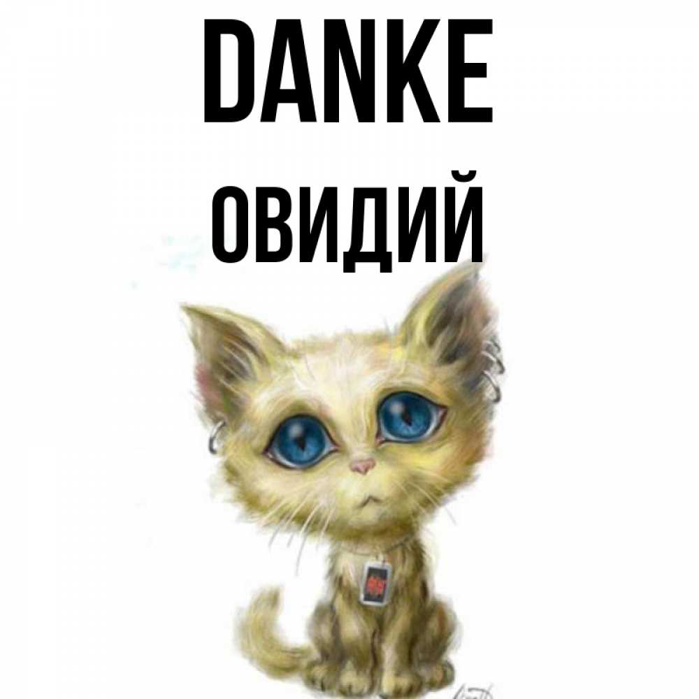 Открытка на каждый день с именем, Овидий Danke рисованный кот благодарит вас Прикольная открытка с пожеланием онлайн скачать бесплатно 