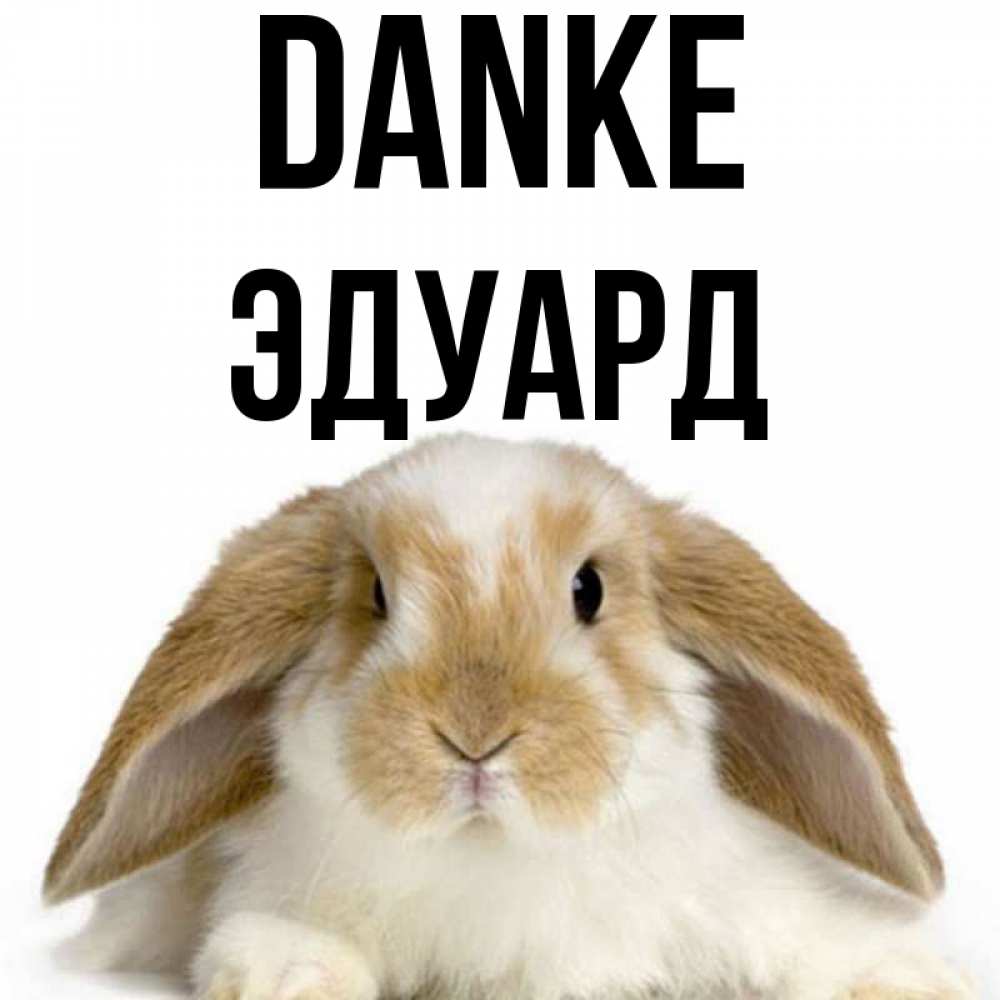 Открытка на каждый день с именем, Эдуард Danke коричнево белый заяц Прикольная открытка с пожеланием онлайн скачать бесплатно 
