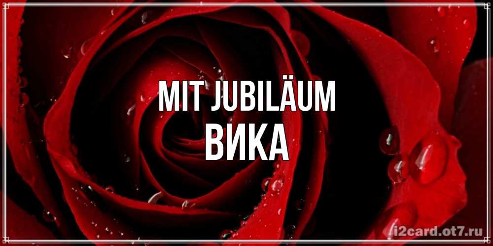Открытка на каждый день с именем, Вика Mit Jubiläum крупная бордовая роза Прикольная открытка с пожеланием онлайн скачать бесплатно 