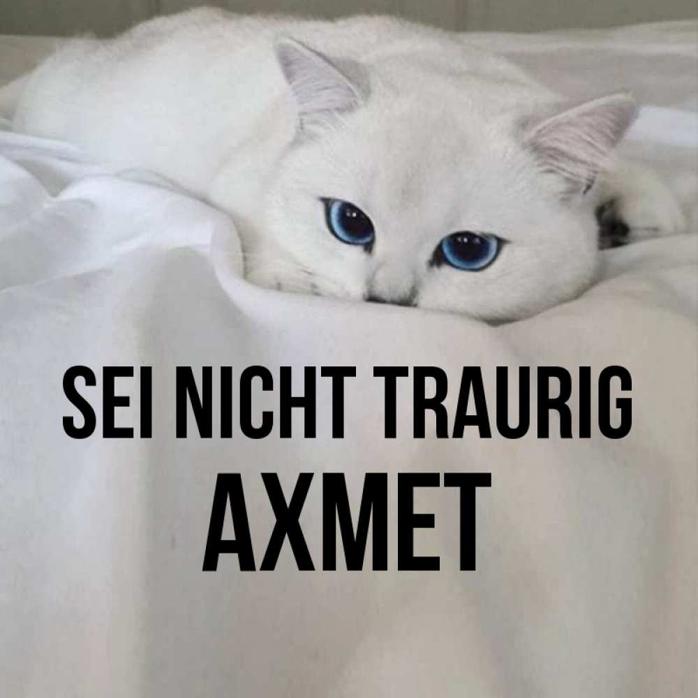 Открытка на каждый день с именем, Ахмет Sei nicht traurig Голубоглазая кошка Прикольная открытка с пожеланием онлайн скачать бесплатно 