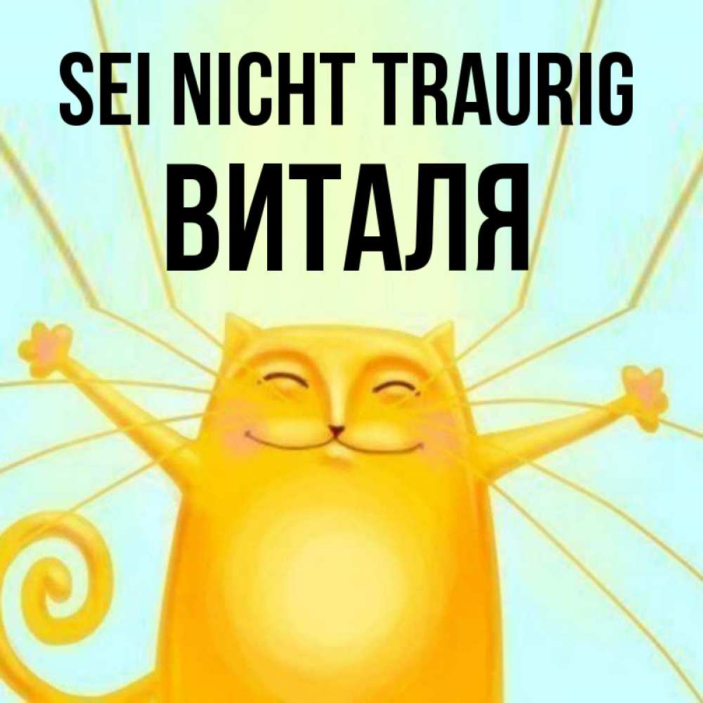 Открытка на каждый день с именем, Виталя Sei nicht traurig обнимашки усатые Прикольная открытка с пожеланием онлайн скачать бесплатно 