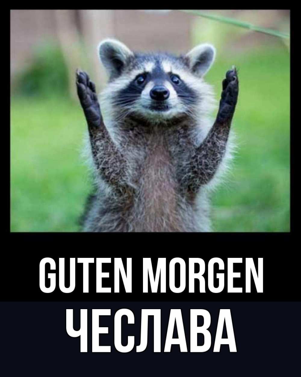 Открытка на каждый день с именем, Чеслава Guten Morgen хорошее настроение утречком Прикольная открытка с пожеланием онлайн скачать бесплатно 