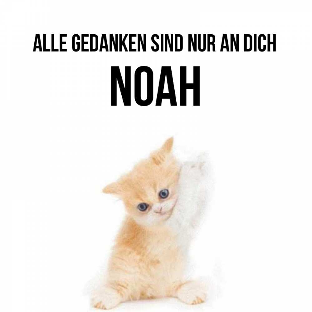 Открытка на каждый день с именем, Noah Alle Gedanken sind nur an dich зверушки и милота Прикольная открытка с пожеланием онлайн скачать бесплатно 
