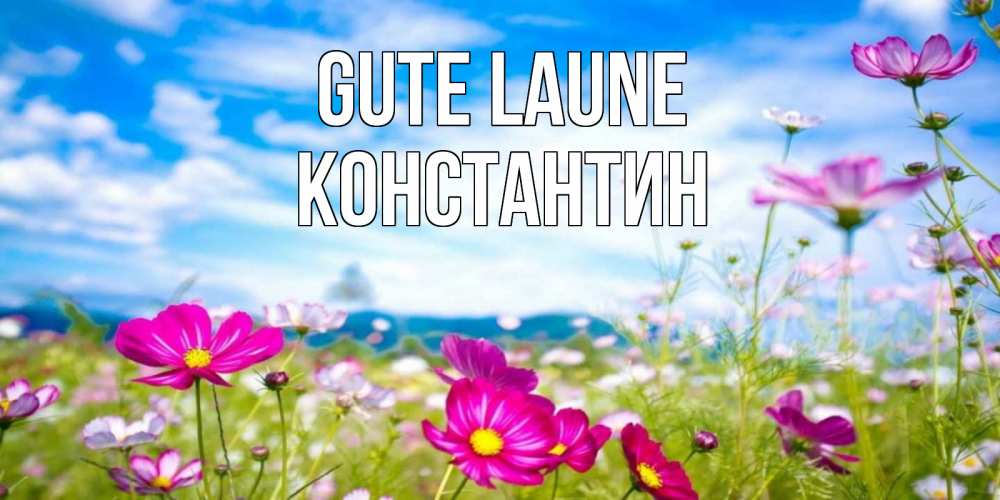 Открытка на каждый день с именем, Константин Gute Laune поле цветов Прикольная открытка с пожеланием онлайн скачать бесплатно 