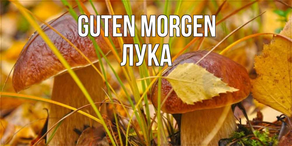 Открытка на каждый день с именем, Лука Guten Morgen осенние грибы Прикольная открытка с пожеланием онлайн скачать бесплатно 