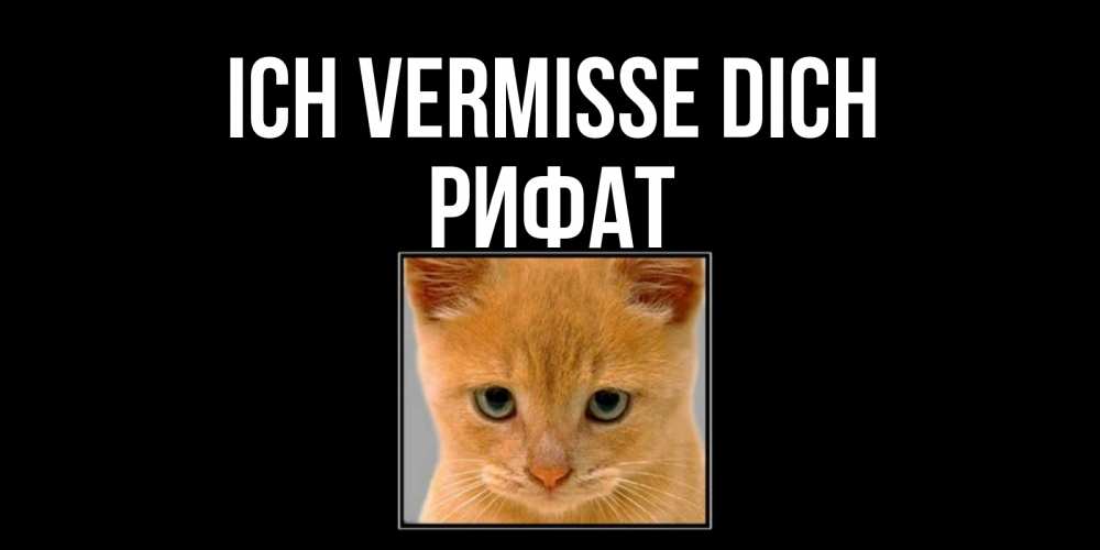 Открытка на каждый день с именем, Рифат Ich vermisse dich открытки рыжий котенок скучает по тебе Прикольная открытка с пожеланием онлайн скачать бесплатно 