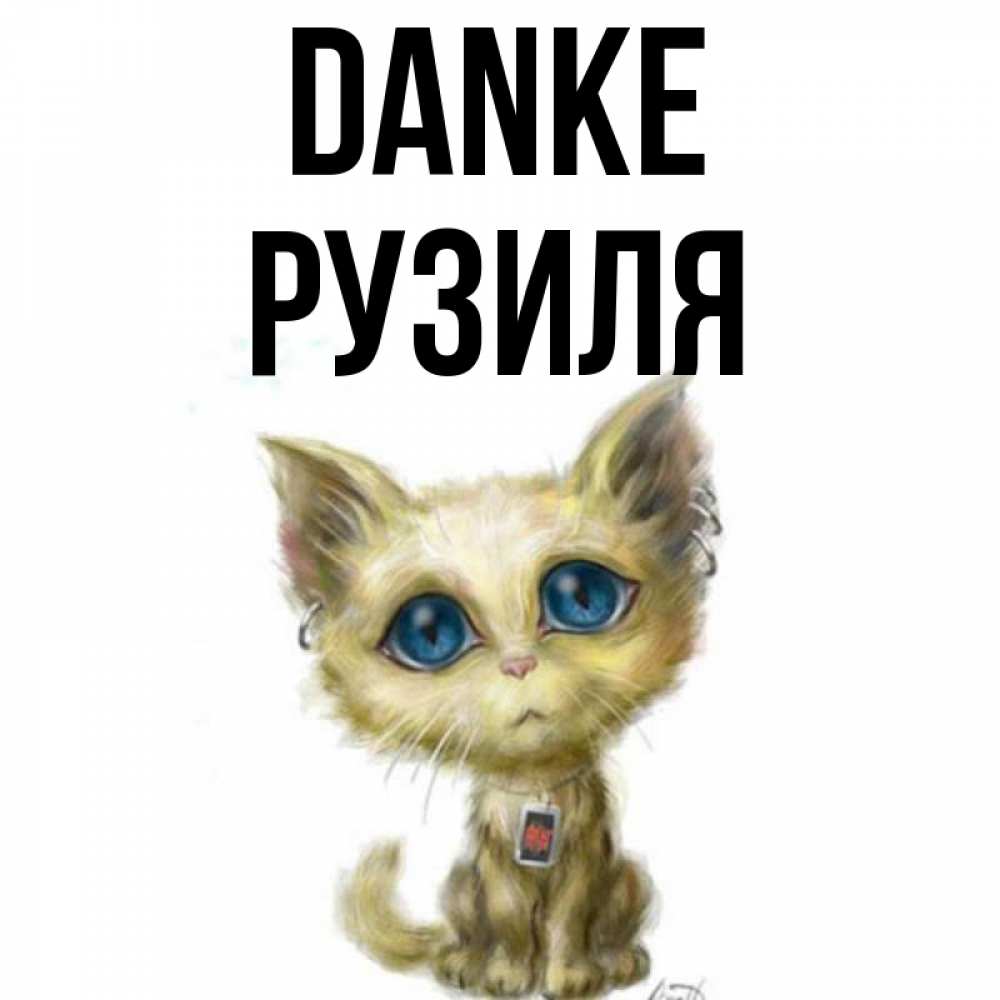 Открытка на каждый день с именем, Рузиля Danke рисованный кот благодарит вас Прикольная открытка с пожеланием онлайн скачать бесплатно 